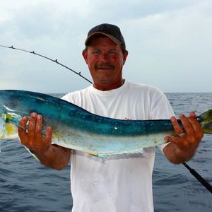 Meet your Posher, Steve